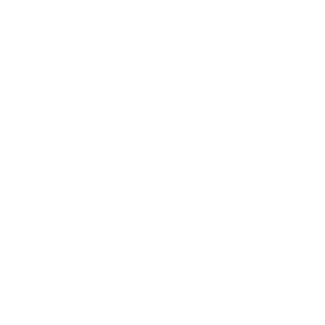 Wildman Design Co. San Diego, CA